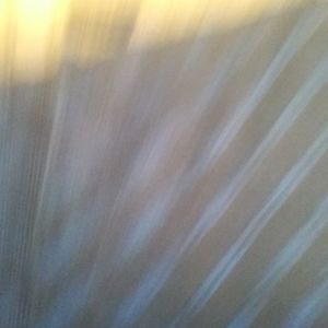 Meet your Posher, Naro